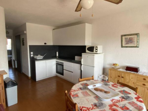 Deux-pièces avec balcon, BBQ et parking près de la plage - FR-1-750-49